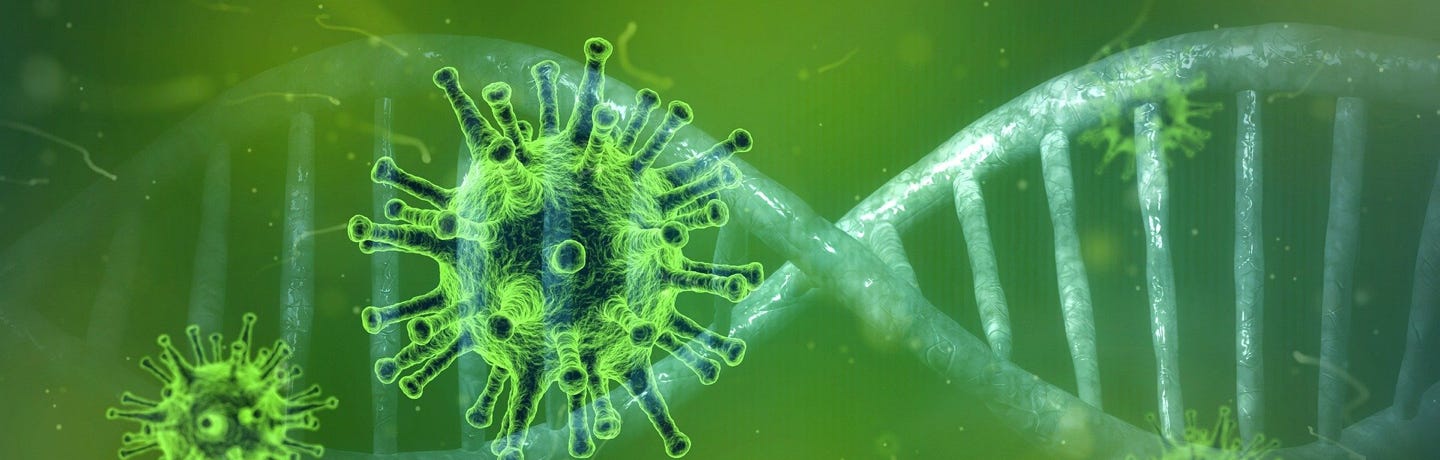Corona Virus